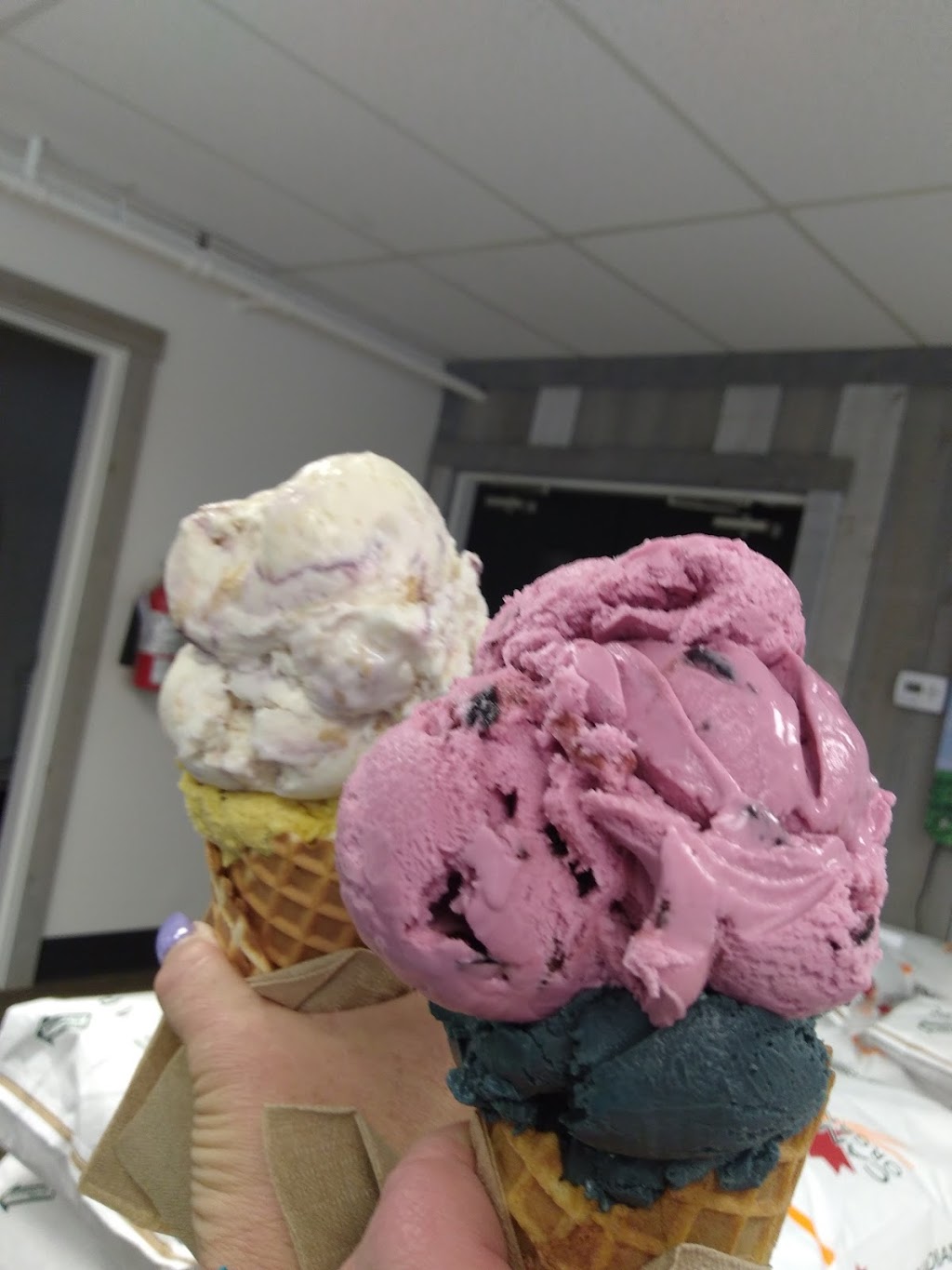 Kents Ice Cream Co | 47582 Yale Rd, Chilliwack, BC V2P 7N1, Canada