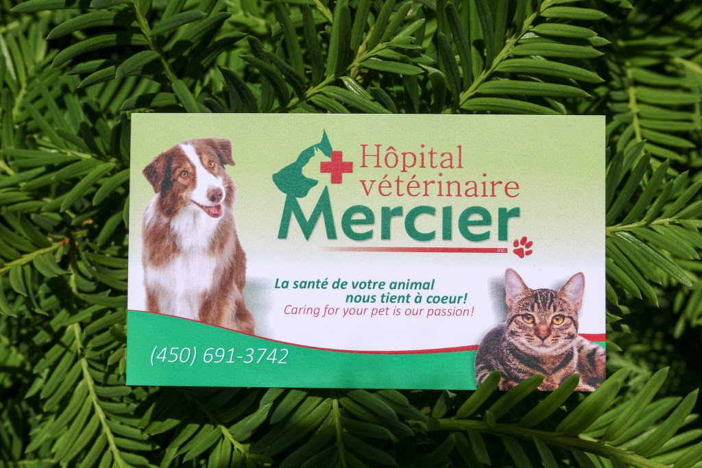 Veterinary Hospital Mercier inc. | 135 Boulevard Saint-Jean-Baptiste, Mercier, QC J6R 2C1, Canada | Phone: (450) 691-3742