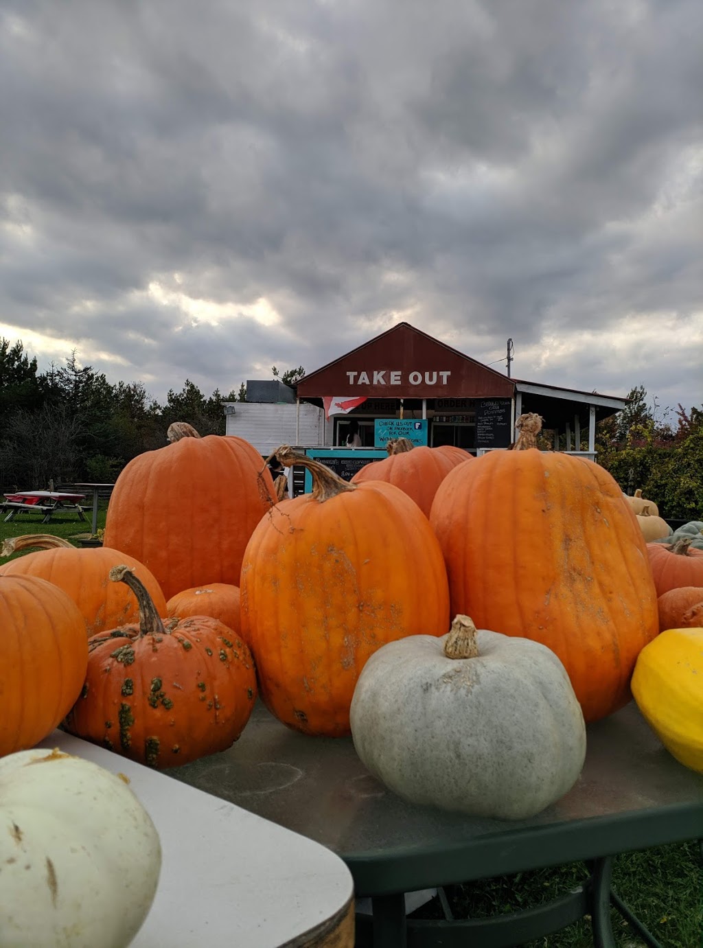 ALLIE DS Station 48 | 1587 Kawartha Lakes County Rd 48, Kirkfield, ON K0M 2B0, Canada | Phone: (705) 438-5730