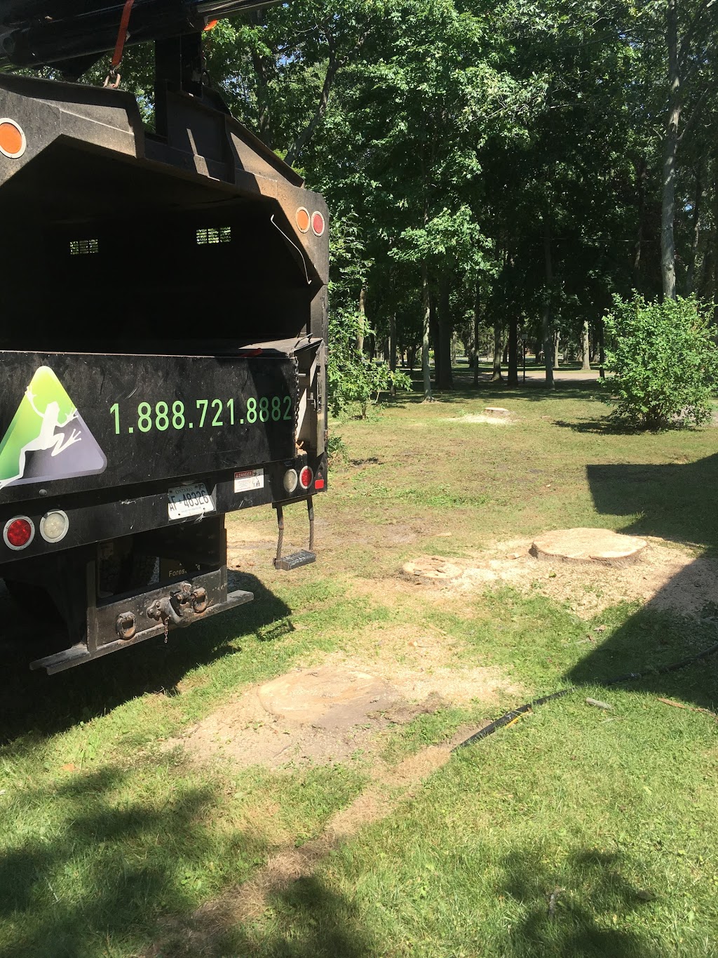 Arborwood Tree Service Inc. | 7838 Twenty Rd, Smithville, ON L0R 2A0, Canada | Phone: (905) 957-5663