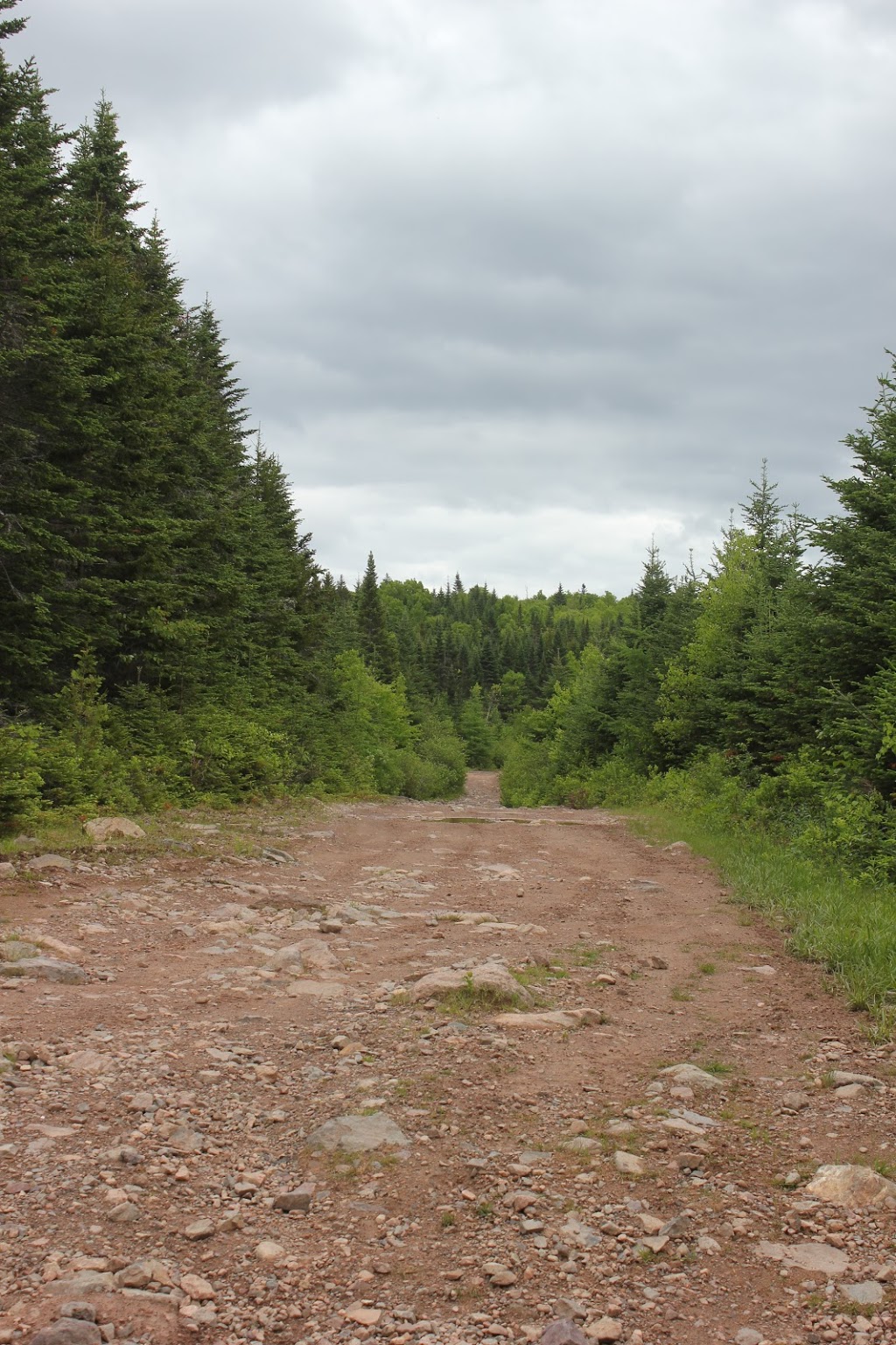 Saint John ATV Club Trail Head | 201 Upper Quaco Rd, Simonds Parish, NB E2S 2T2, Canada | Phone: (506) 657-8470