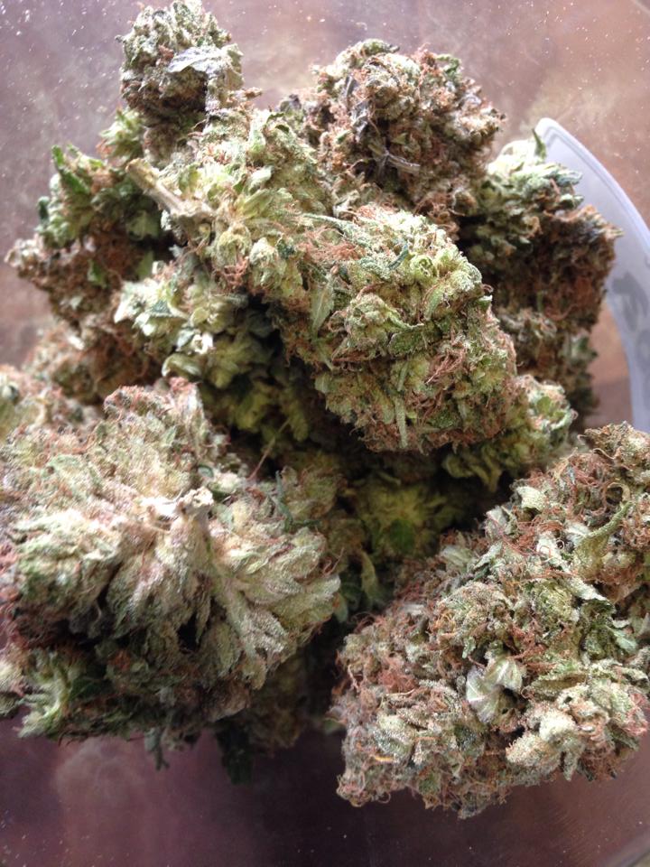 Medicinal Express | 1745 Nanaimo St, Vancouver, BC V5N 5C1, Canada | Phone: (604) 428-3420