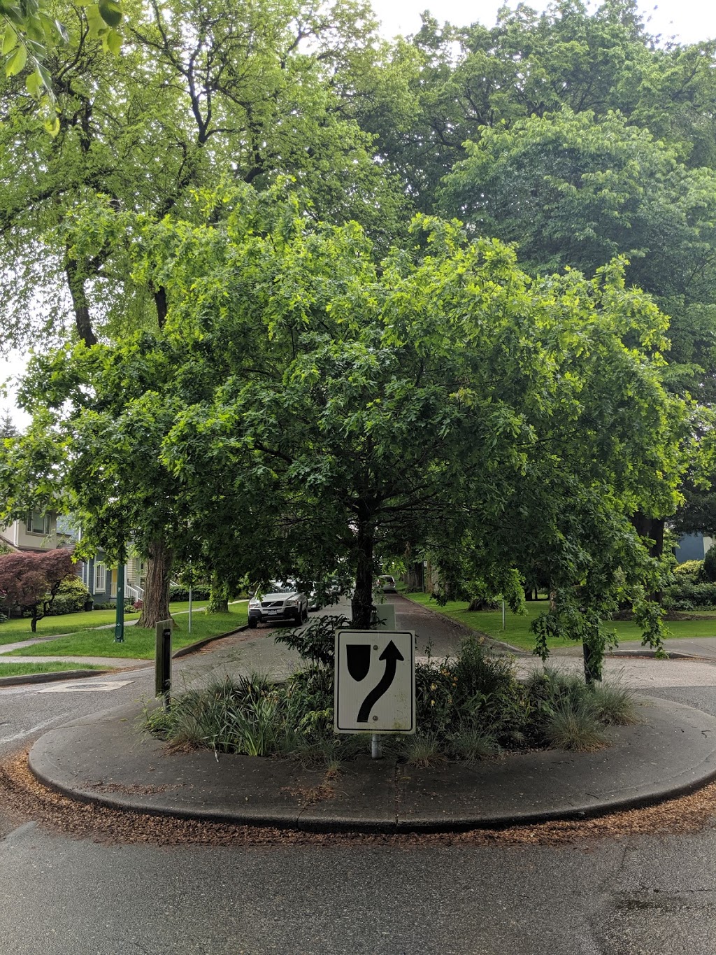 Braemer Park | 895 W 27th Ave, Vancouver, BC V5Z 2G8, Canada | Phone: (604) 873-7000