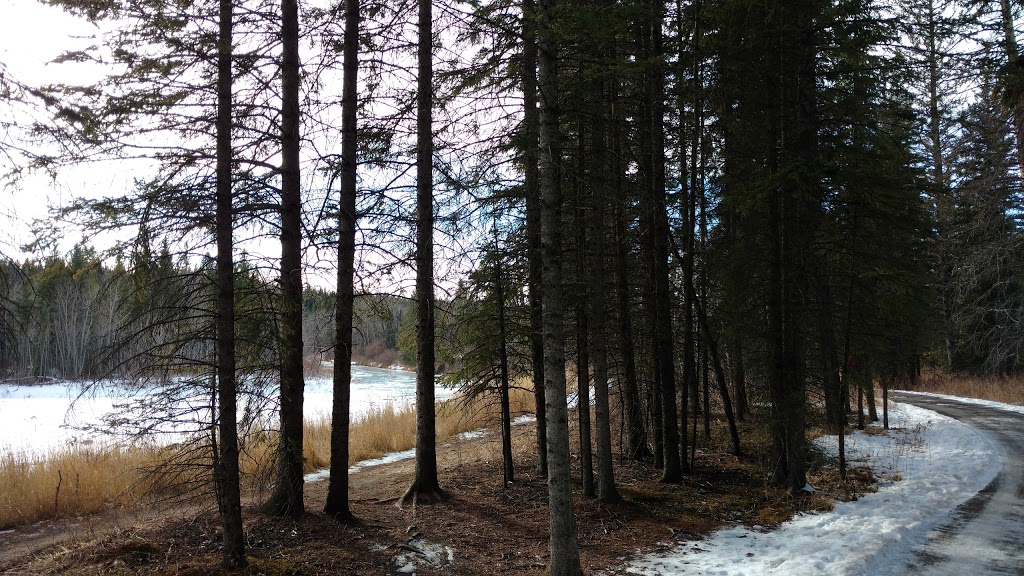 Fish Creek Environmental Learning Center | 15931 Woodpath Rd SW, Calgary, AB T2W 5M1, Canada