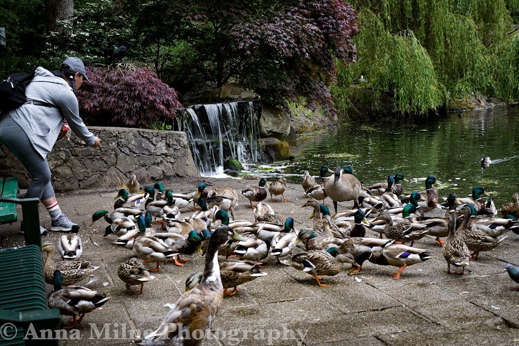 Anna Milne Photography | 439 Sue Mar Pl, Victoria, BC V9C 3C9, Canada | Phone: (250) 880-5695