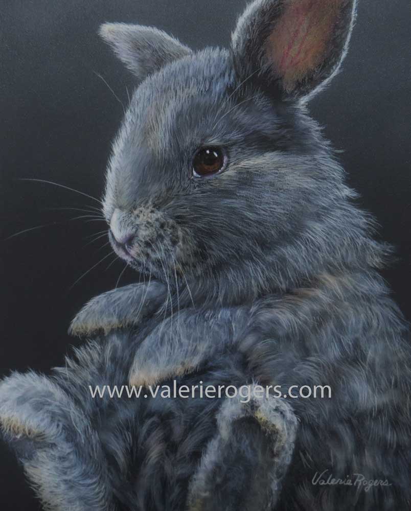 Valerie Rogers Artist | 671 60 St SE, Salmon Arm, BC V1E 1W5, Canada | Phone: (250) 832-2336