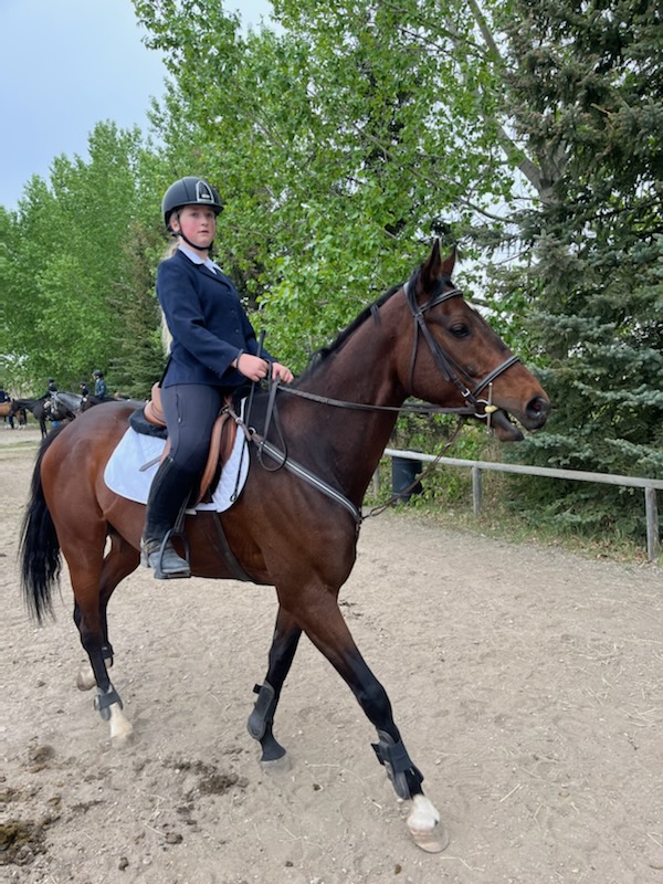 Paramount Equestrian Centre | Deerview Dr, De Winton, AB T0L 0X0, Canada | Phone: (403) 938-3671