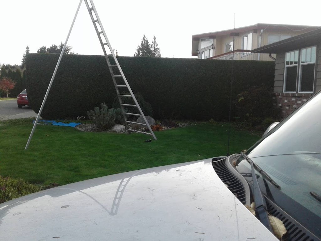 Hedge PRO Trimming | 231 Eighth St #304, New Westminster, BC V3M 3P8, Canada | Phone: (604) 417-4211