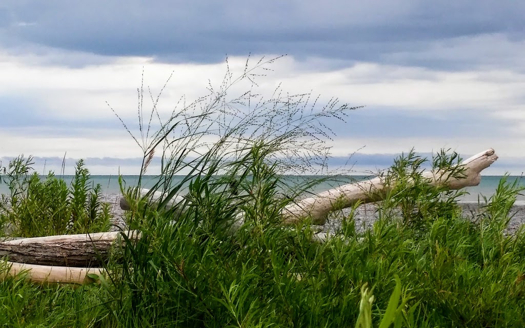 Port Bruce Provincial Park | 3360 Imperial Rd, Aylmer, ON N5H 2R2, Canada | Phone: (519) 874-4691