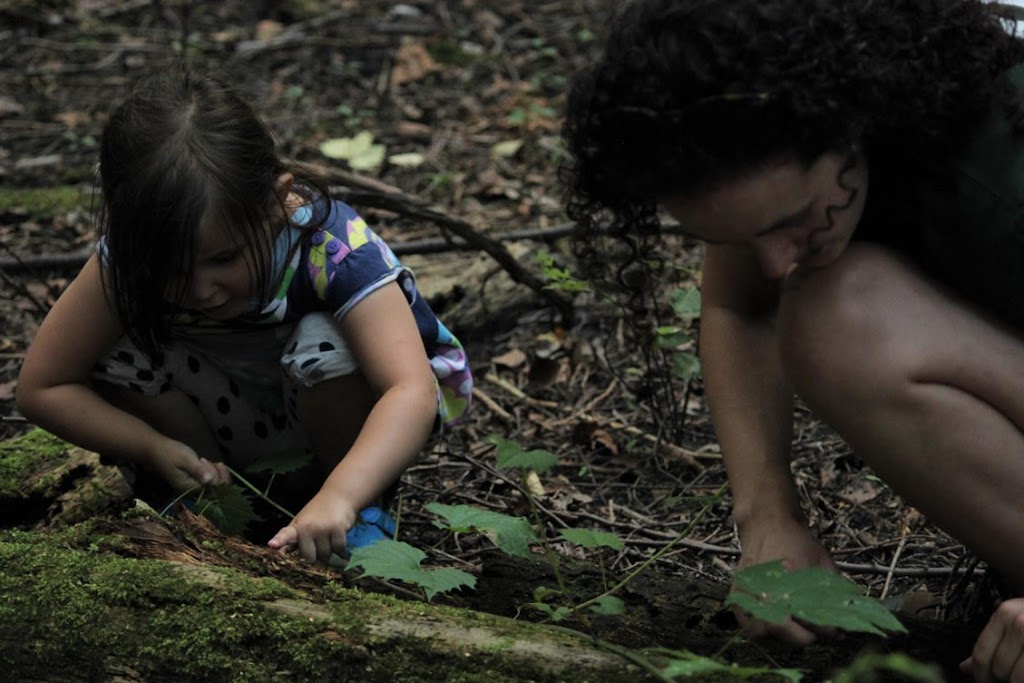 Scugog Nature School | 19400 St Christophers Beach Rd, Nestleton, ON L0B 1L0, Canada | Phone: (905) 986-4401