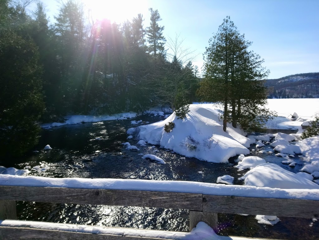 Gatineau Park | Trail 50, Pontiac, QC J0X 2G0, Canada | Phone: (819) 827-2020