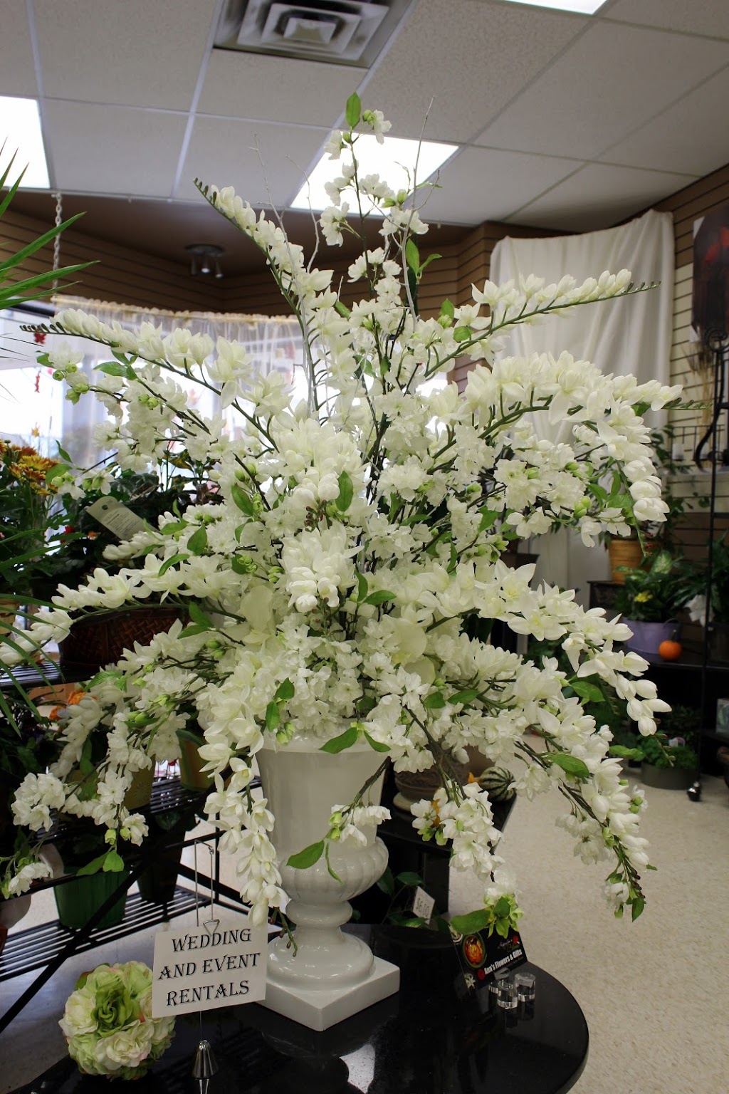 Anns Flowers & Gifts | 3534 Roblin Blvd, Winnipeg, MB R3R 0C9, Canada | Phone: (204) 984-9998