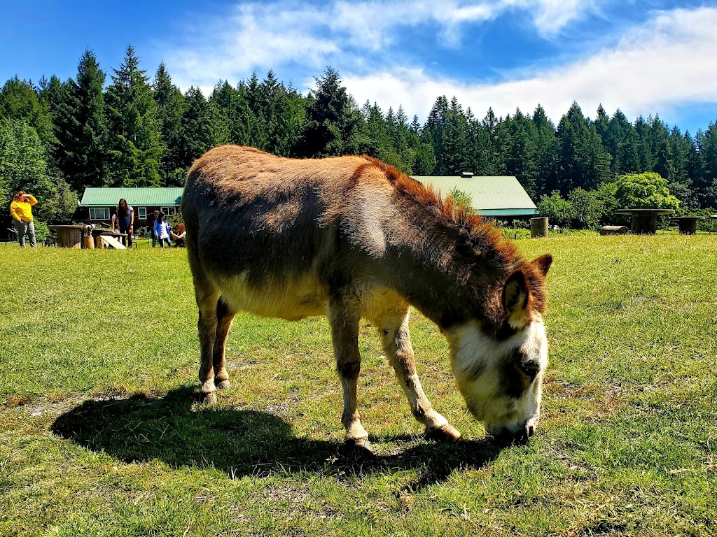 Yellow Point Farms | 4756 Yellow Point Rd, Ladysmith, BC V9G 1H2, Canada | Phone: (250) 268-1030