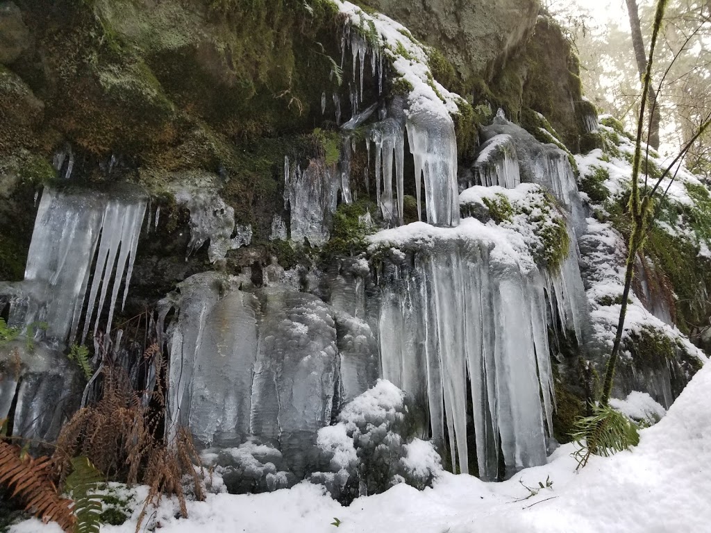 Oyster Dome Trailhead | Pacific NW Trail, Bow, WA 98232, USA