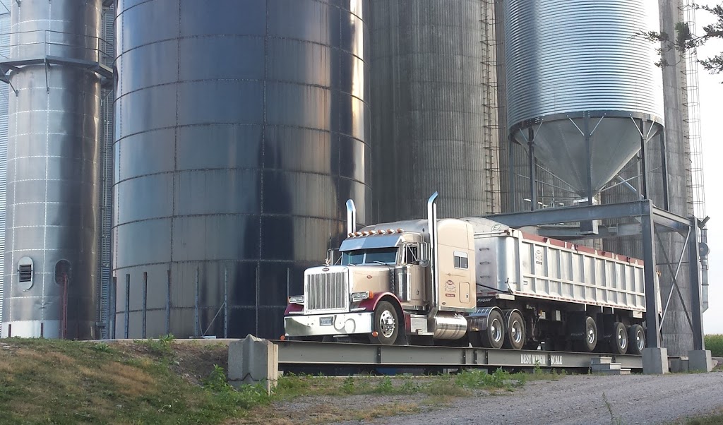 Hales Excavation & Trucking Ltd. | 8781 County Rd 42, Newboro, ON K0G 1P0, Canada | Phone: (613) 273-9173