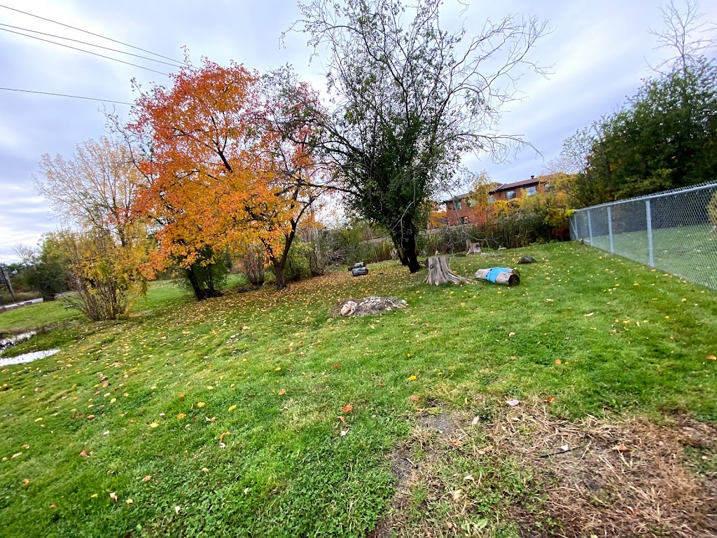 Joe Raie Nature Path and Dog Run | 8182 Chem. Wavell, Côte Saint-Luc, QC H4W 1M3, Canada | Phone: (514) 485-6806
