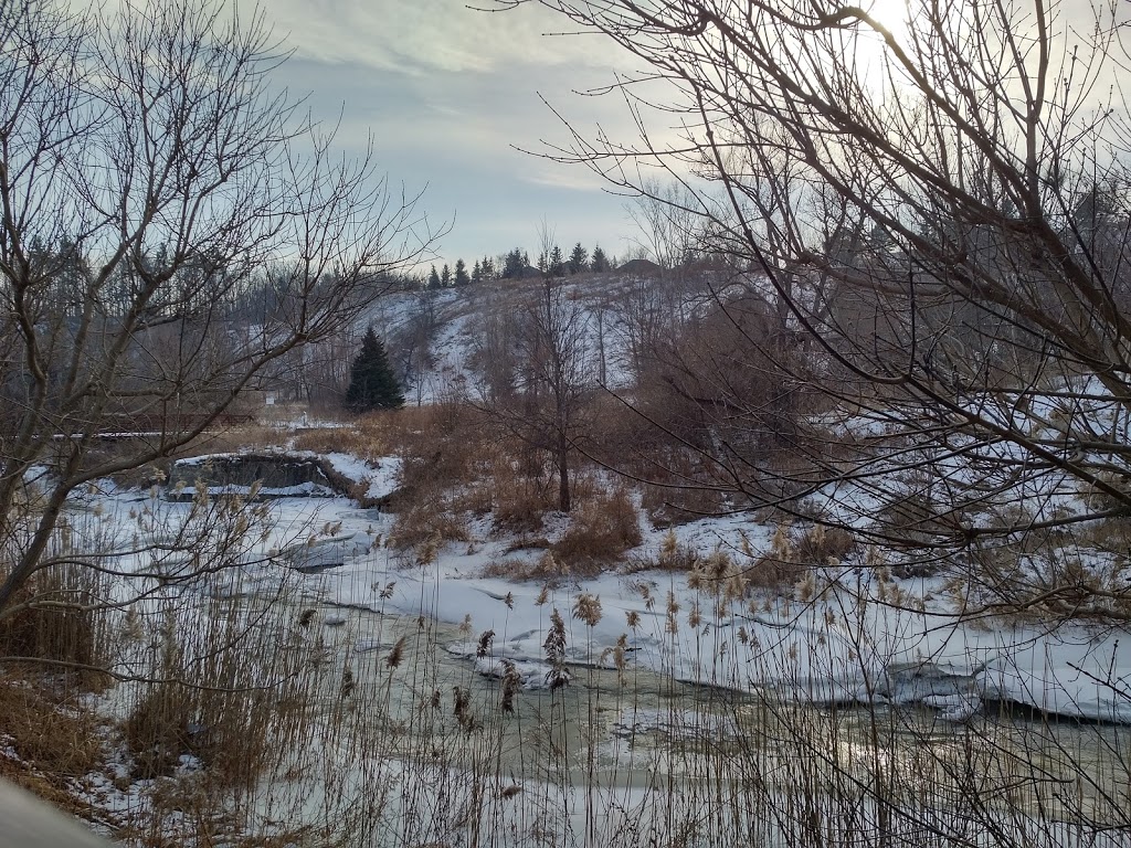 Boyd Conservation Park | 8739 Islington Ave, Woodbridge, ON L4L 1A6, Canada | Phone: (416) 661-6600