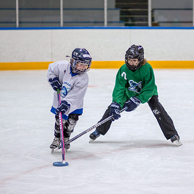 Comox Valley Ringette | 6633 Rennie Rd, Courtenay, BC V9J 1V1, Canada | Phone: (250) 650-7323