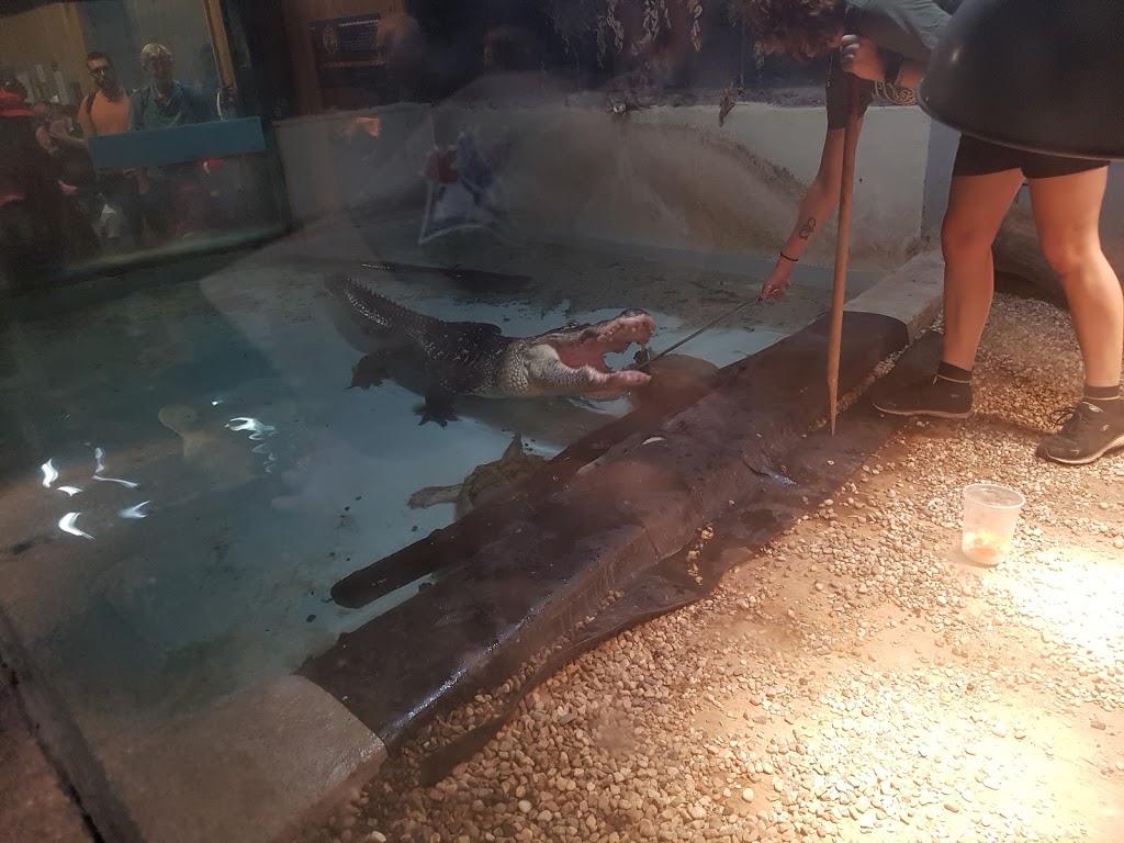 Little Rays Reptile Zoo and Nature Centre | 5305 Bank St, Gloucester, ON K1X 1H2, Canada | Phone: (613) 822-8924