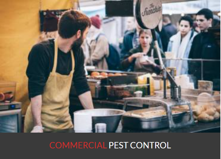 Pesterminate Inc | 78 Dalmatian Crescent, Scarborough, ON M1C 4W6, Canada | Phone: (647) 956-5868