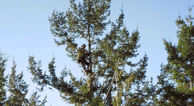 The Arborist | point of interest | 12874 96b Ave, Surrey, BC V3T 1A2, Canada | 6045845542 OR +1 604-584-5542