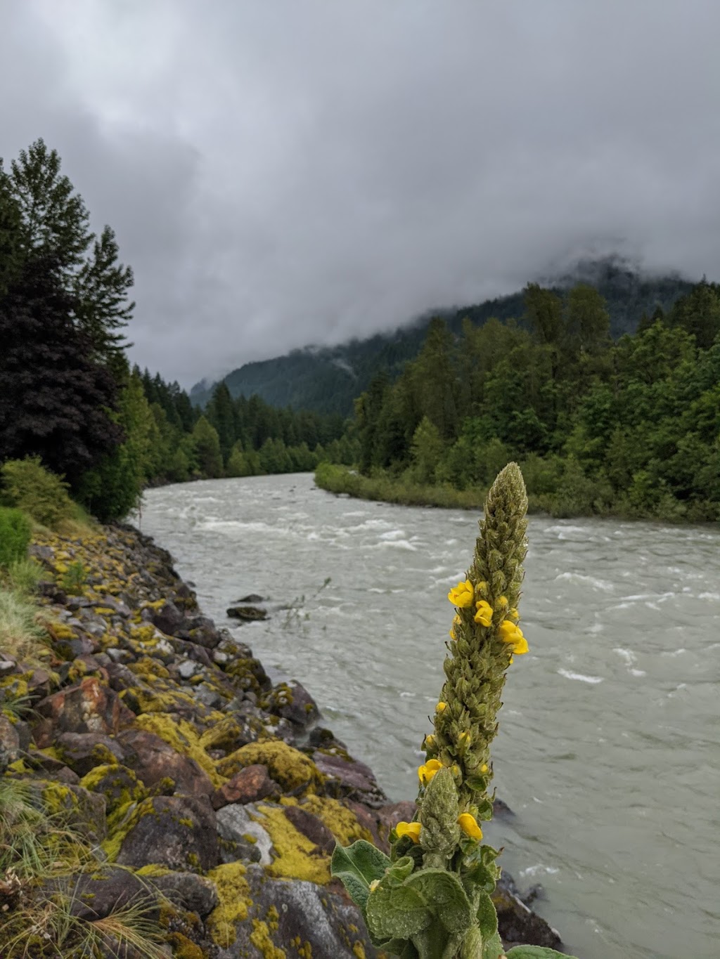 Sparkling Waters B&B | 67700 Othello Rd, Hope, BC V0X 1L1, Canada | Phone: (604) 860-4300