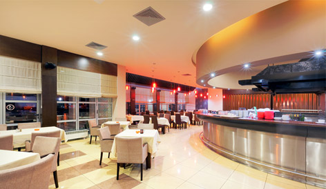 RYU electric | 40 Adesso Dr, Concord, ON L4K 3C6, Canada | Phone: (905) 474-1100