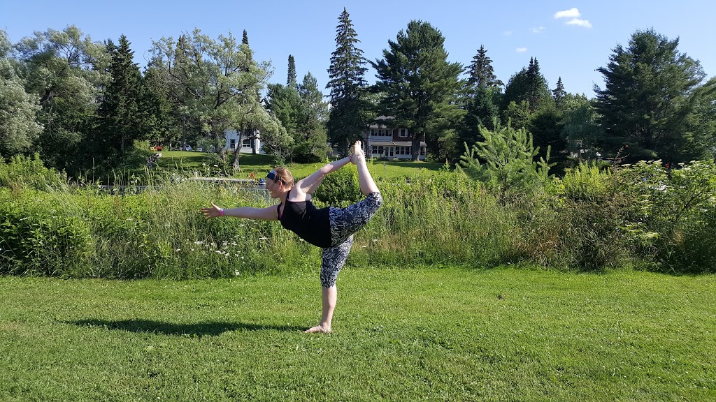 Annie Williams Memorial Park | 50 Santas Village Rd, Bracebridge, ON P1L 1C7, Canada | Phone: (705) 645-1921