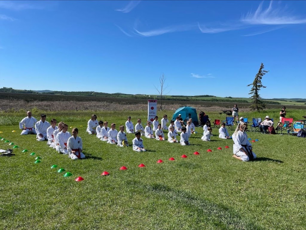 JKA Karate-Do Empow-LIL Academy | 4995 Market St SE, Calgary, AB T3M 2P9, Canada | Phone: (587) 581-3939