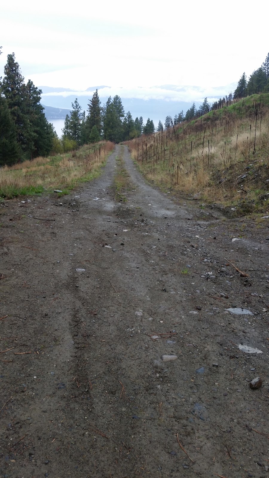 Adventure Bay Trail | 8808-8868 Tavistock Rd, Vernon, BC V1H 2K9, Canada
