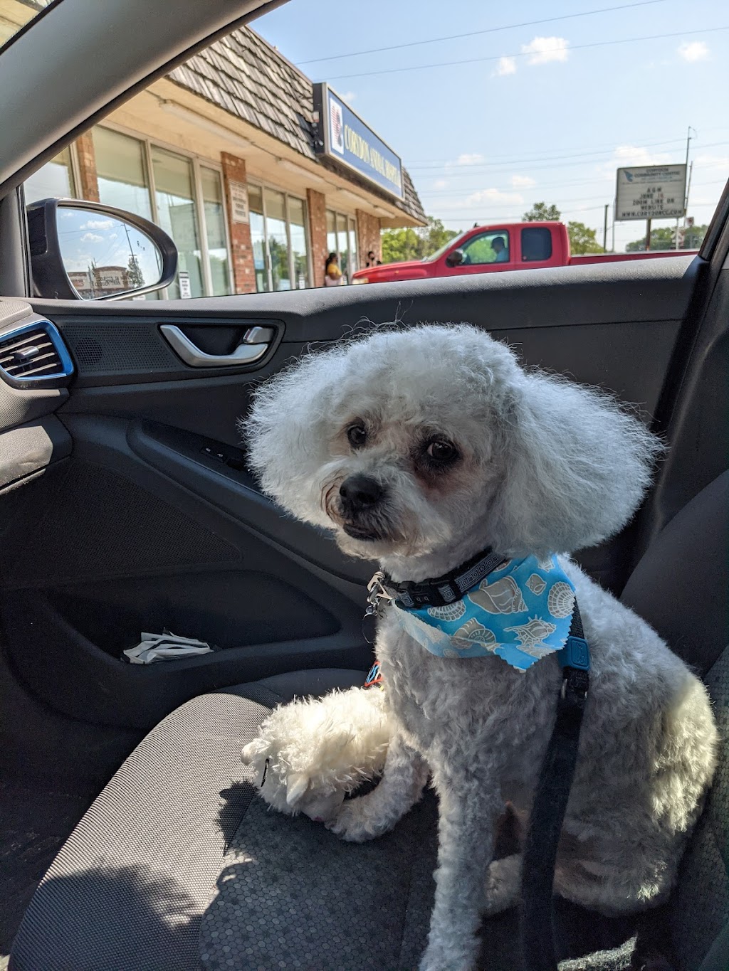 Fetching Style Grooming | 1677 Corydon Ave, Winnipeg, MB R3N 0J8, Canada | Phone: (204) 487-6784