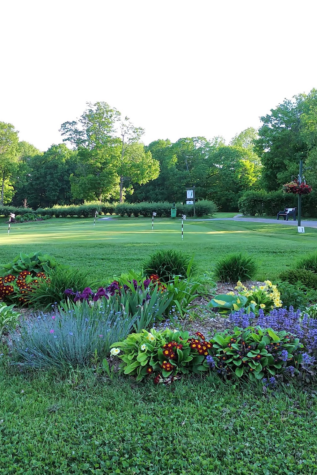 Club de Golf Des Pins | 1140 route Philomène-Thibodeau, Saint-Alban, QC G0A 3B0, Canada | Phone: (800) 223-5210