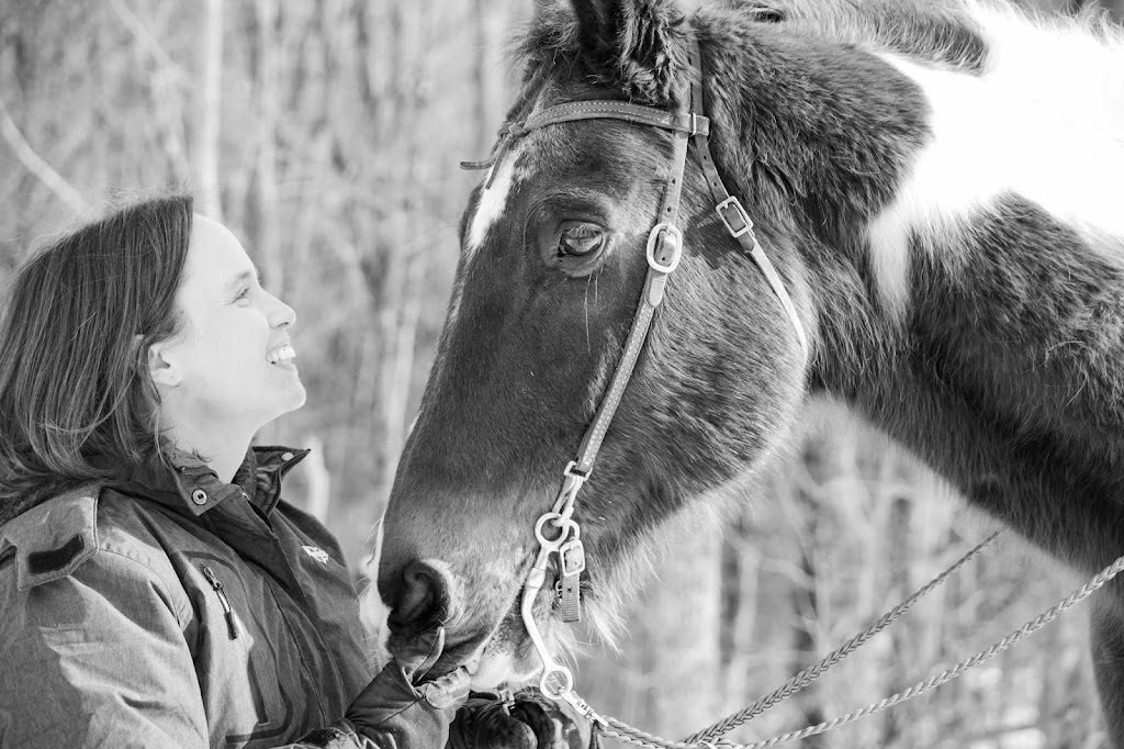 Michael Peitz Custom Photography | 1170 Narrows Rd, Gravenhurst, ON P1P 1R2, Canada | Phone: (226) 568-0474