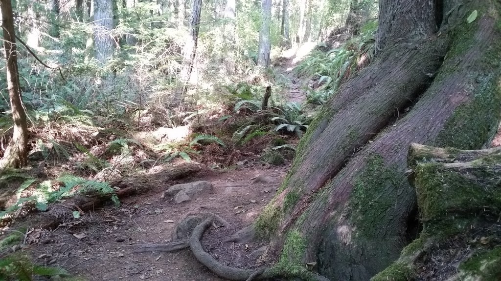 Sharpe Park | 14644-, 14676 Rosario Rd, Anacortes, WA 98221, USA