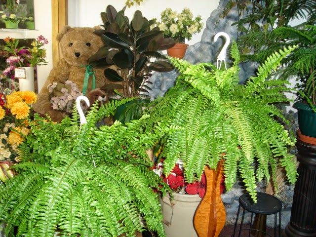 Flowers By High Style Floral Design | 201 1 St S, Wakaw, SK S0K 4P0, Canada | Phone: (306) 233-5999