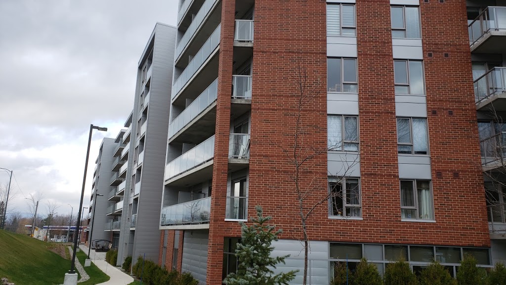 Sélection St-Augustin | 3645 Rue de lHêtrière, Saint-Augustin-de-Desmaures, QC G3A 0R6, Canada | Phone: (418) 999-4834