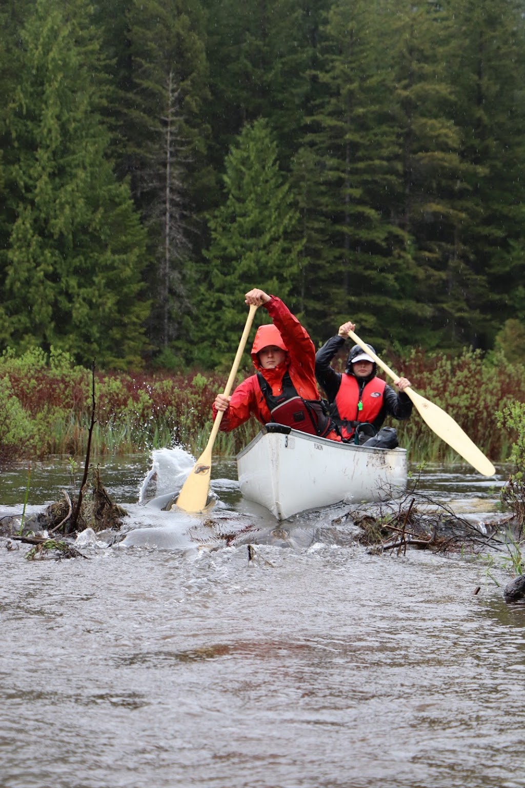 Coast Mountain Academy | 7105 Nootka St, Powell River, BC V8A 5E3, Canada | Phone: (604) 414-4734