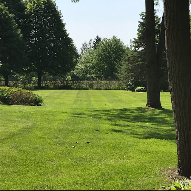 Total Property Services Inc. | 33 Fairview Ave, Whitchurch-Stouffville, ON L4A 1C8, Canada | Phone: (647) 273-9111