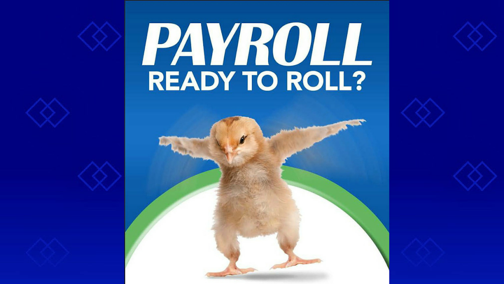 Padgett Business Services Victoria | 2531 Government St, Victoria, BC V8T 4P6, Canada | Phone: (250) 744-3854