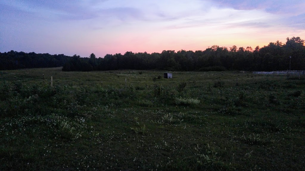 Deltawood Farm | 1648 County Rd 42, Delta, ON K0E 1G0, Canada | Phone: (613) 928-2871