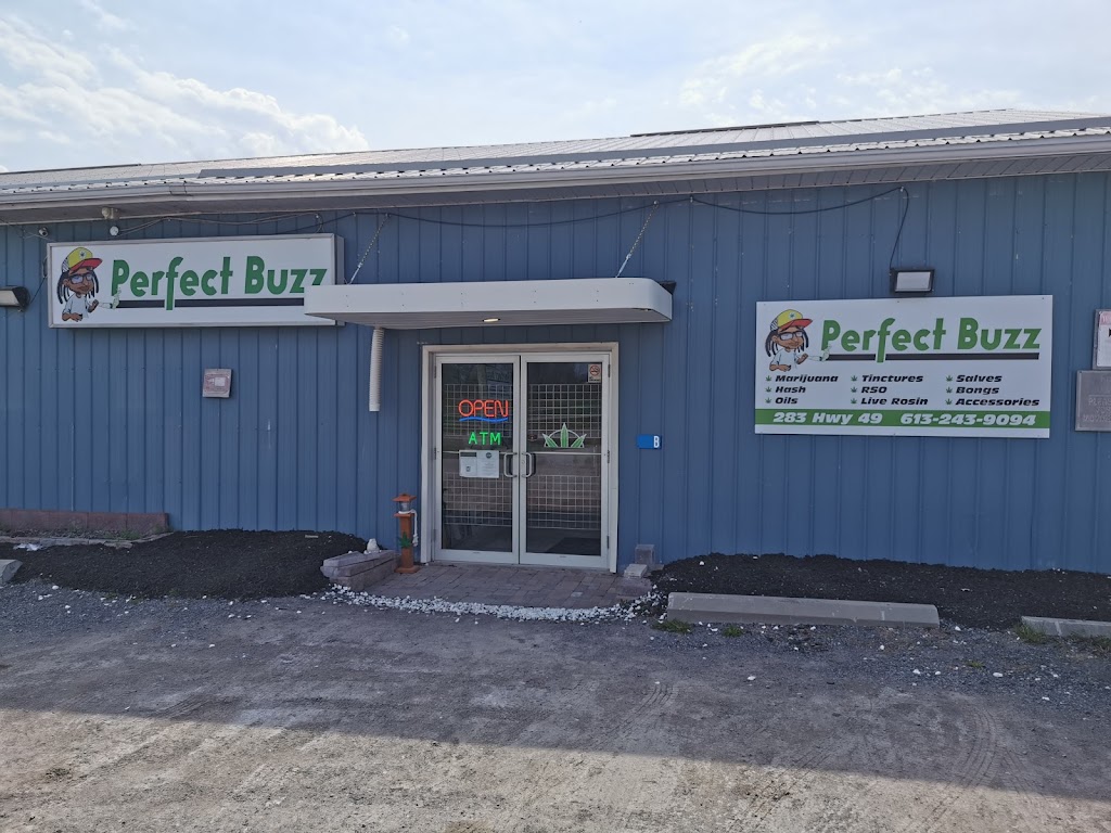 Perfect Buzz | 283B ON-49 Tyendinaga Mohawk Territory, Hastings County, ON K0K 1X0, Canada | Phone: (613) 243-9094