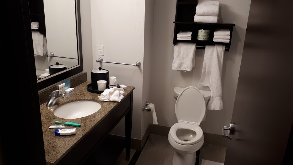 Hampton Inn by Hilton Winnipeg Airport/Polo Park | 730 Berry St, Winnipeg, MB R3H 0S6, Canada | Phone: (204) 772-3000