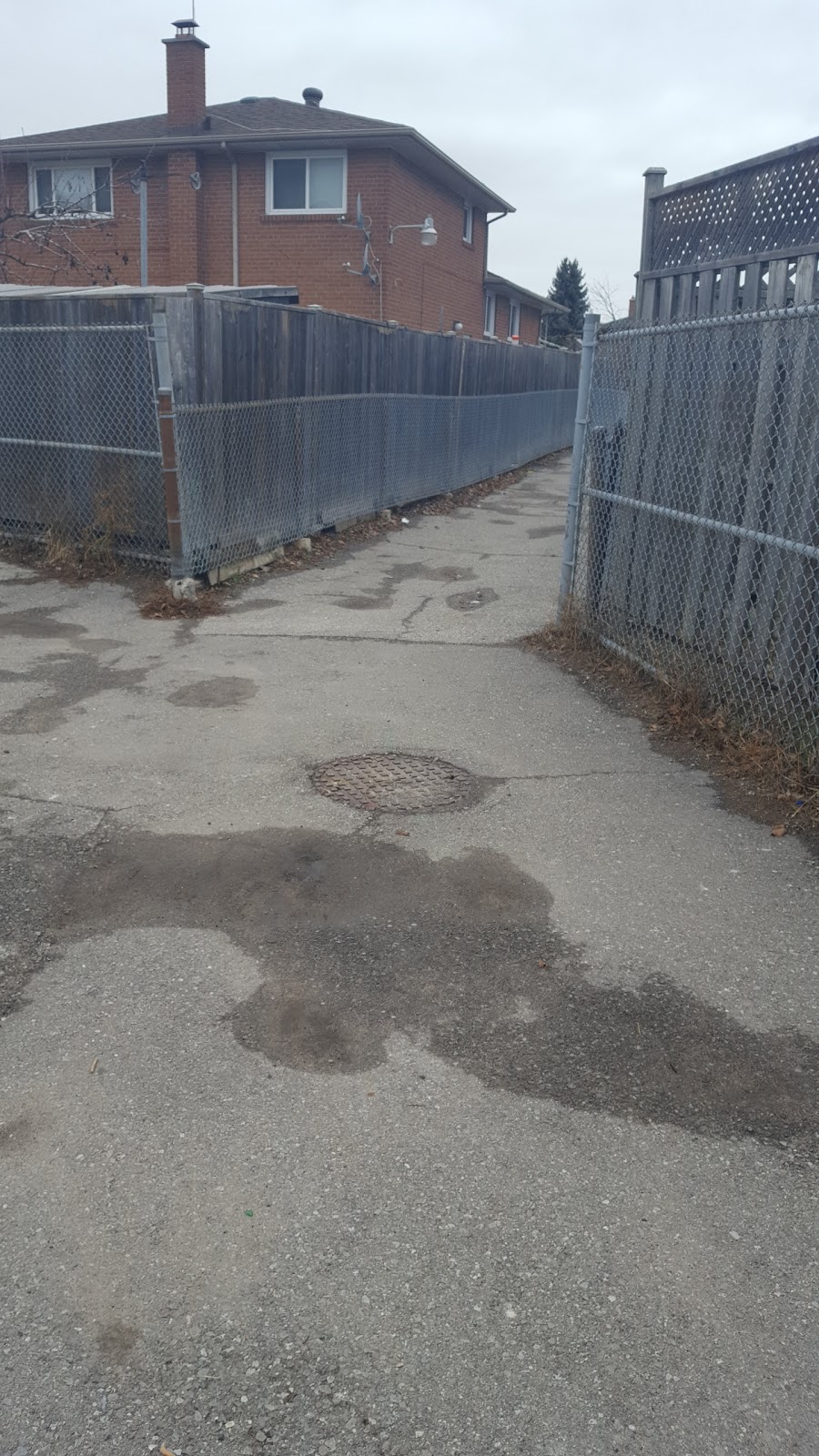 Blacksmith Public School | 45 Blacksmith Crescent, North York, ON M3N 1B5, Canada | Phone: (416) 395-2060
