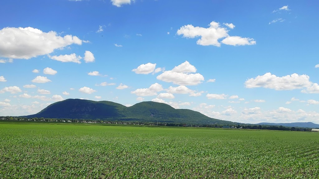 Fermes Trudeau | 138 Chem. Trudeau, Saint-Mathieu-de-Beloeil, QC J3G 0E3, Canada | Phone: (450) 464-2920
