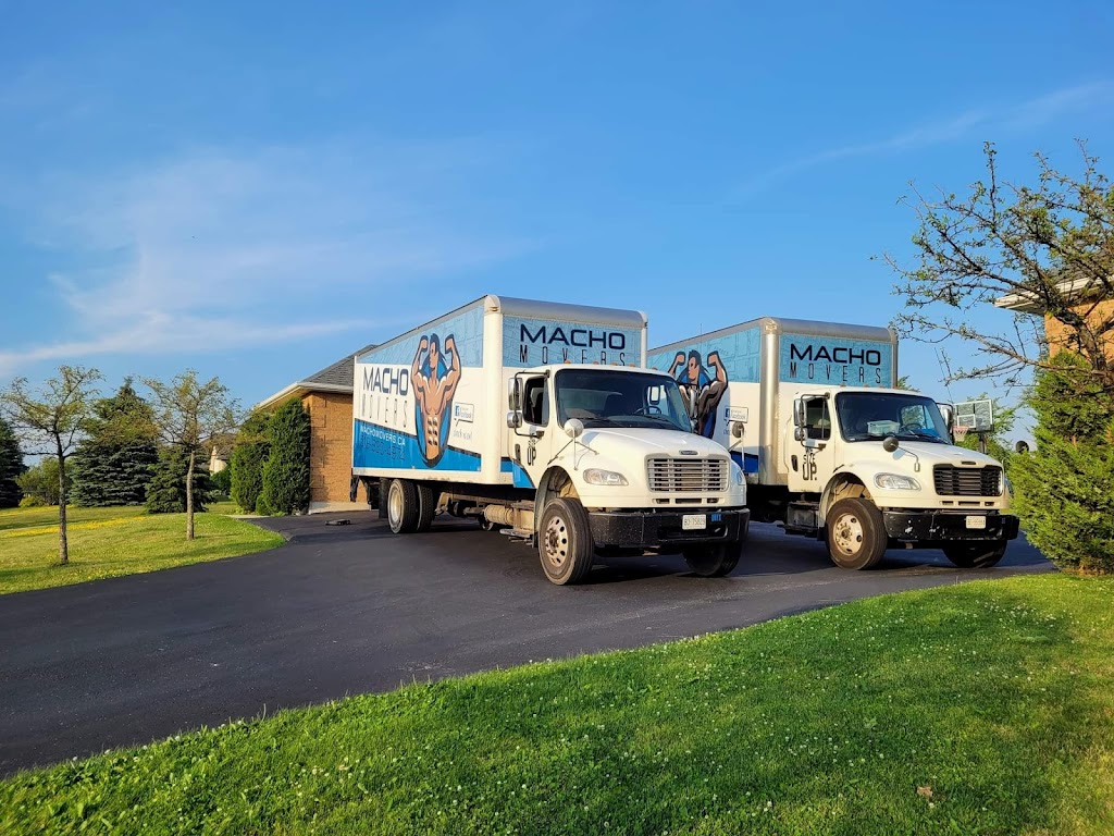 Macho Movers Inc | 40 Charleswood Ct, Cambridge, ON N3C 4K9, Canada | Phone: (519) 830-4974