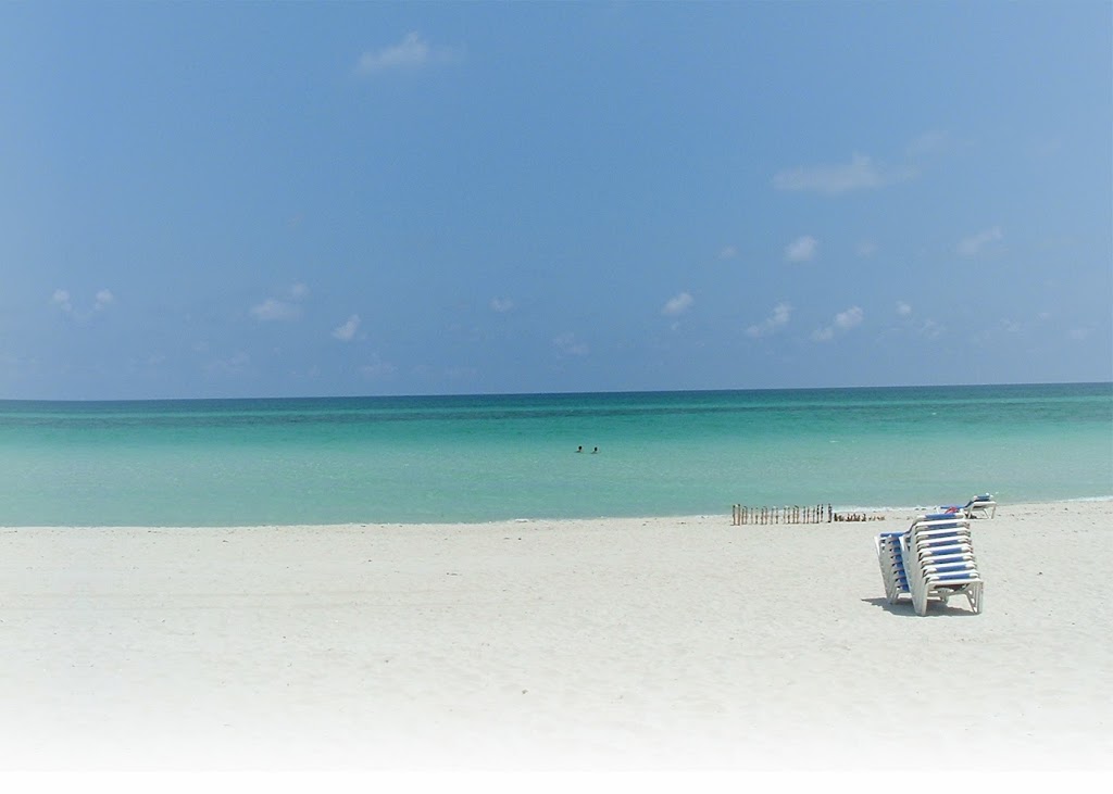 Murdoch Travel | 28 Currie St Unit 5, Barrie, ON L4M 5N4, Canada | Phone: (705) 734-3534