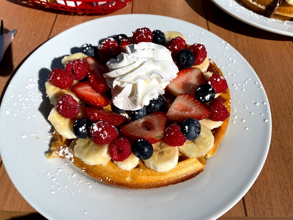 Angels Diner - Family Restaurant London | 100 Belmont Dr #1, London, ON N6J 3T4, Canada | Phone: (519) 690-2900