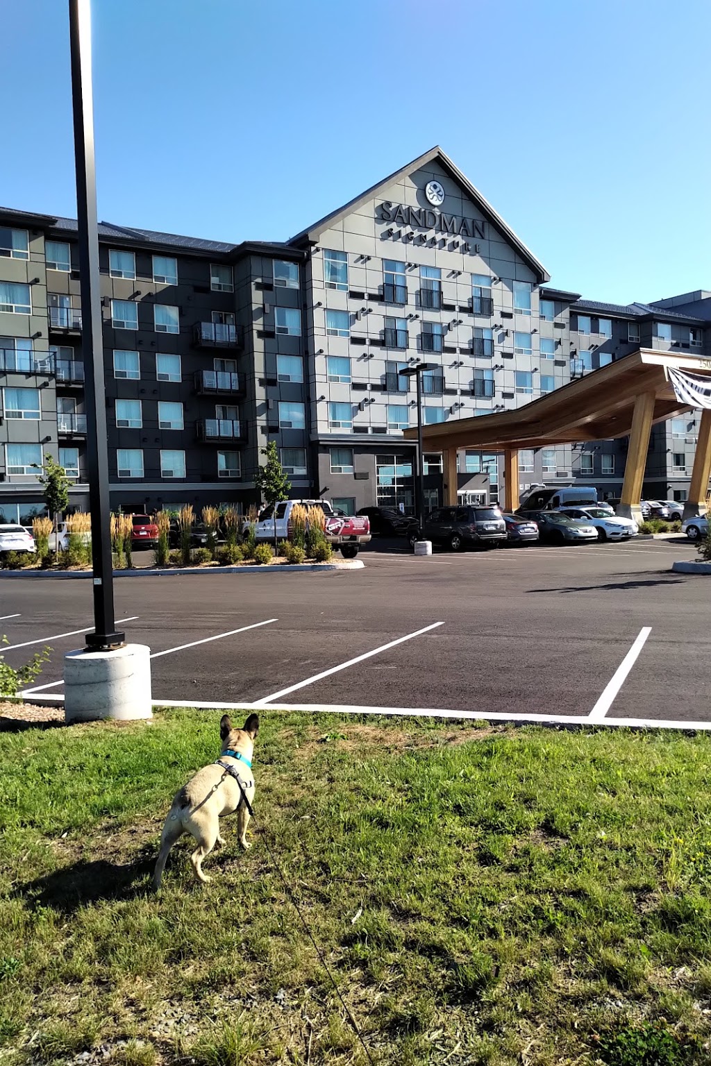 Sandman Signature Ottawa Airport Hotel | 250 W Hunt Club Rd, Ottawa, ON K1N 1H7, Canada | Phone: (613) 216-7263