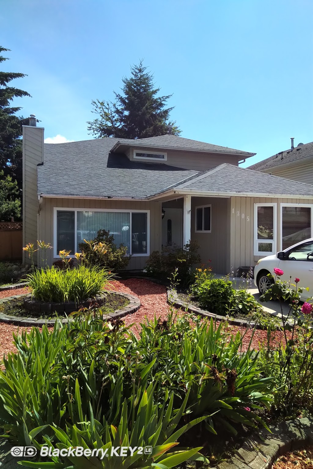 Millwall Roofing | #7820, Mission, BC V2V 3G3, Canada | Phone: (604) 763-1930