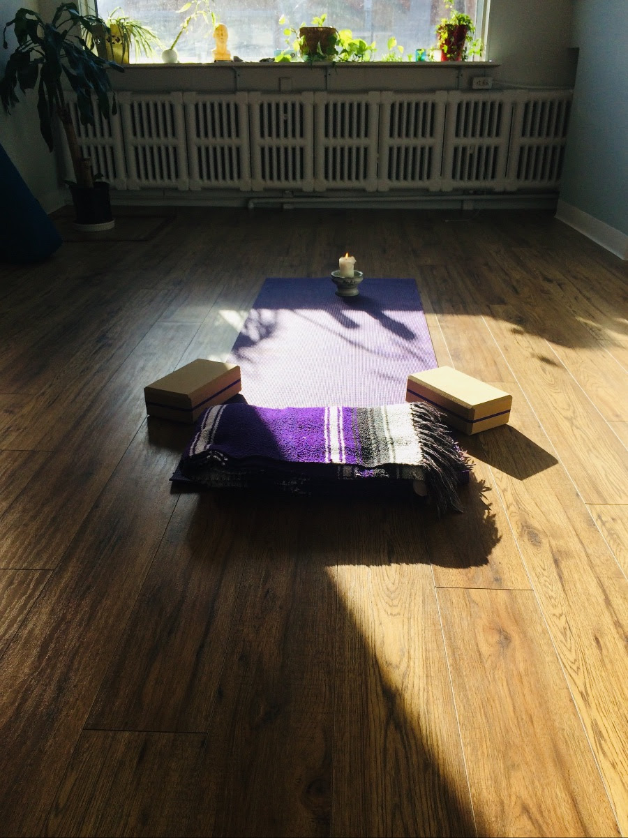 Biànhuà - Acupuncture | 6353 Av. Papineau, Montréal, QC H2G 2X1, Canada | Phone: (514) 913-7705